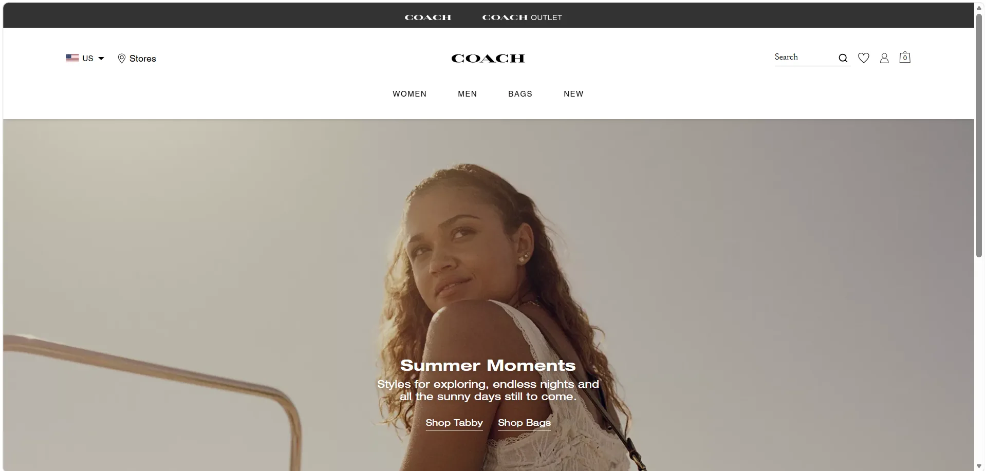 Business website development project
