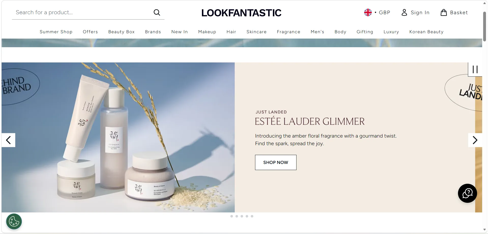 Custom business website project